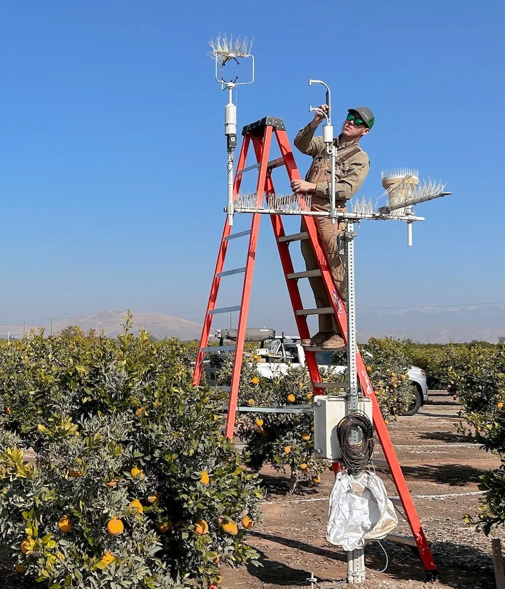 The LI-710 Evapotranspiration Sensor on the eddy covariance tower at the US-PAS AmeriFlux site.