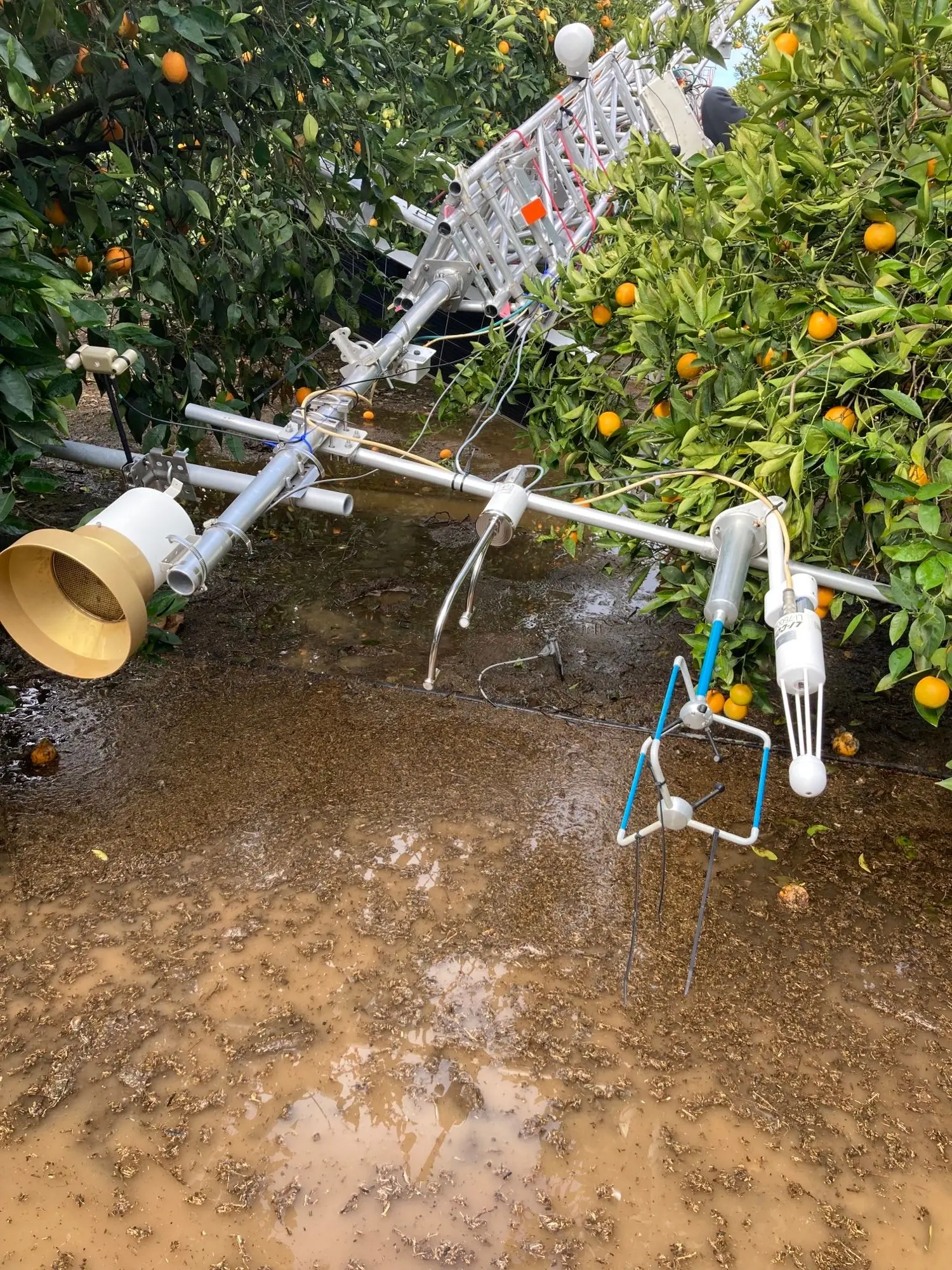 The LI-710 Evapotranspiration Sensor on the eddy covariance tower at the US-PAS AmeriFlux site.