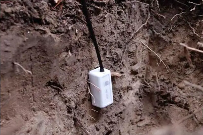 MX2307