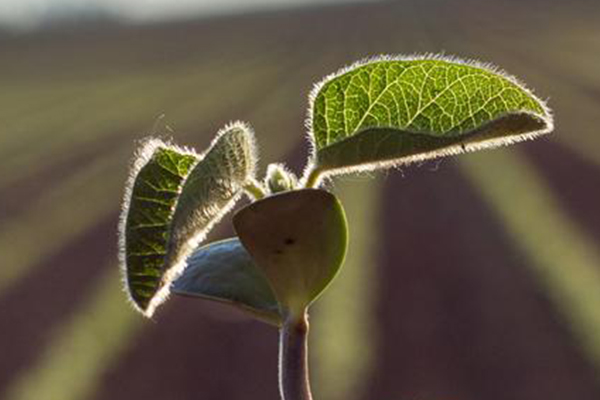 LI-6800 Portable Photosynthesis System